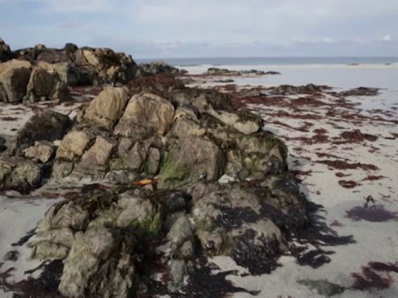 TIREE WAVE CLASSIC 2014 DAY 3