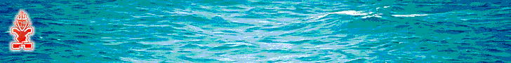 Starboard Saint Barth - bottom