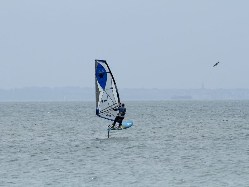 Simon seagull