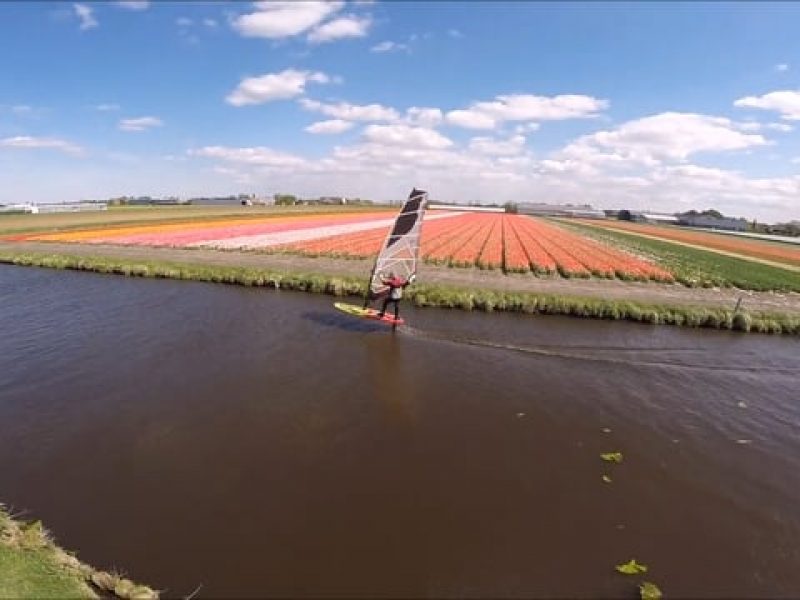 FLOWER FIELD FOILING