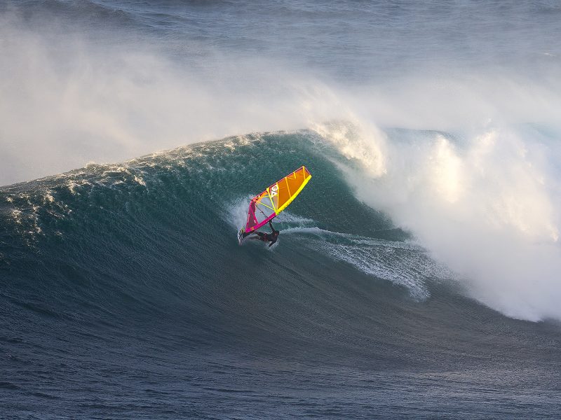 Thomas_Traversa_Jaws_0790