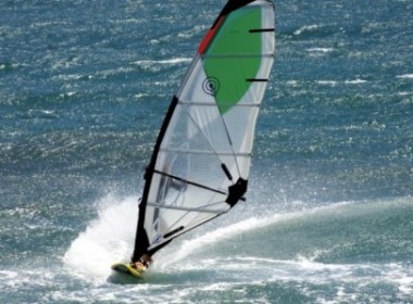 Goya Guru 4.7 2012