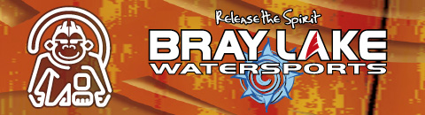 Bray Schools logo header