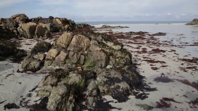TIREE WAVE CLASSIC 2014 DAY 3