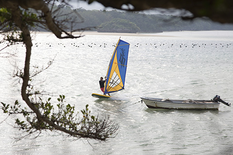 2015 Naish WS