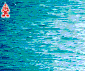 Starboard Saint Barth - side