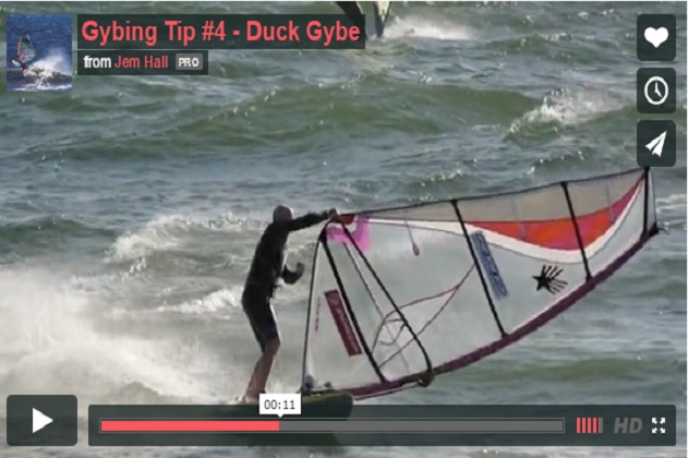 duck