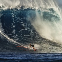 MAIN SHOT Jason Polakow Jaws ERIC AEDER_1198