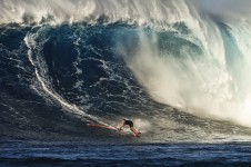 MAIN SHOT Jason Polakow Jaws ERIC AEDER_1198