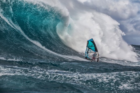 Kai knows his way around Maui!