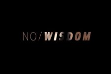 ANTOINE MARTIN NO WISDOM