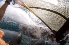 MAURITIUS DIARIES LE MORNE WINDSURFING