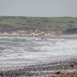 bsa_tenby-366