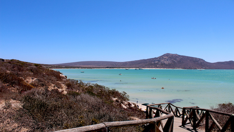 langebaan-lagoon-south-africa