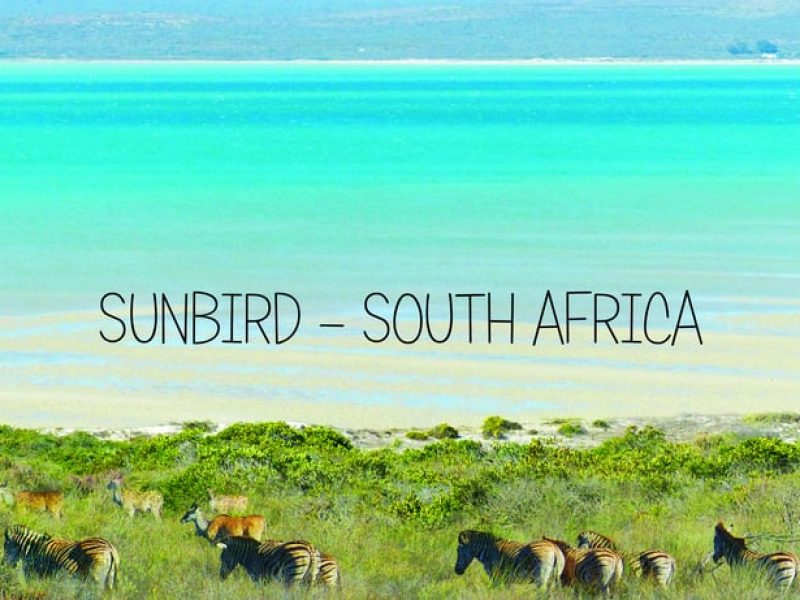 SUNBIRD SOUTH AFRICA