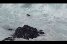 WINTER IS COMING – HO’OKIPA HIGHLIGHTS OCT 5TH