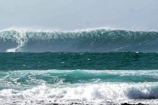 JULIEN TABOULET XXL FUERTEVENTURA