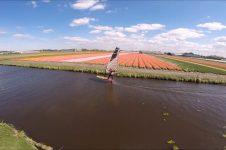 FLOWER FIELD FOILING