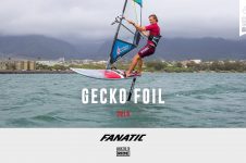 GECKO FOIL 2019