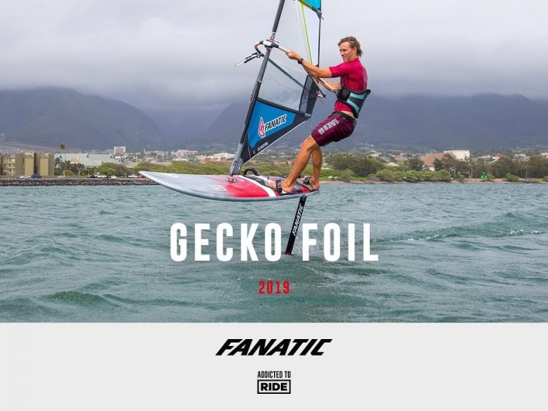 GECKO FOIL 2019