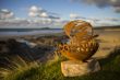 Cornwall_Wave_Classic_Day_3_0077