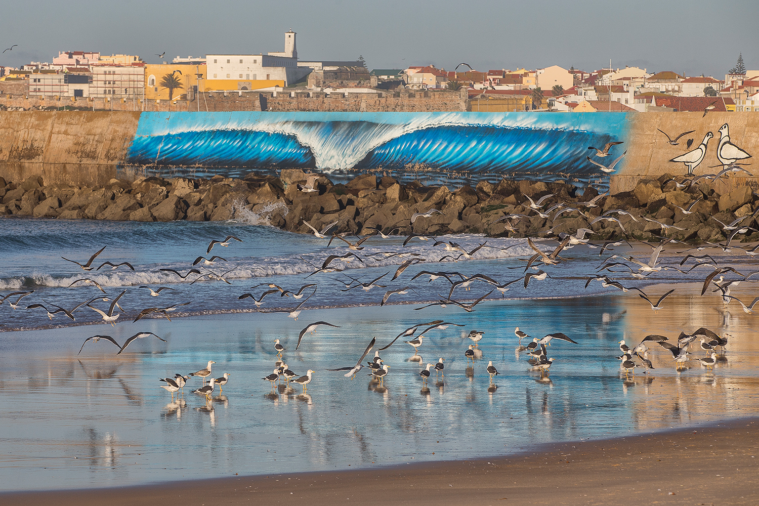 Windsurf Project_Thomas_Traversa_0069