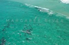 MARGARET RIVER | THAT’S SURF WEST