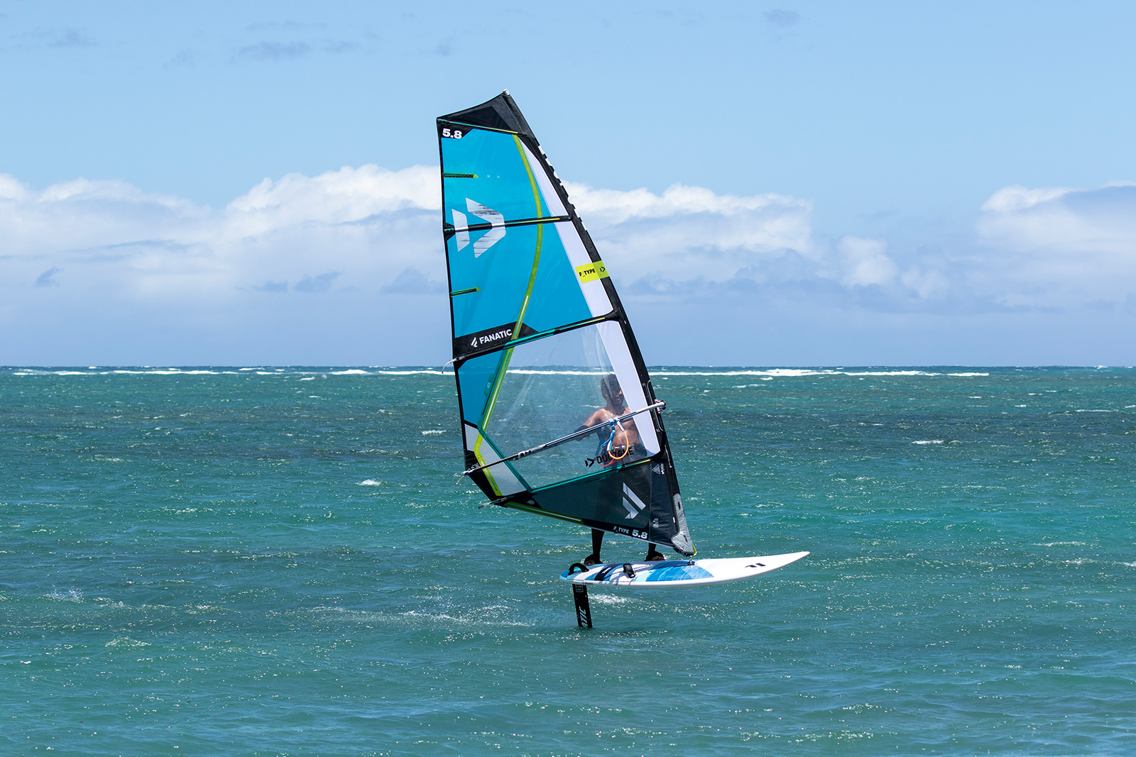 Gollito_Gecko_Foil_HRS_KlaasVoget-269A9392