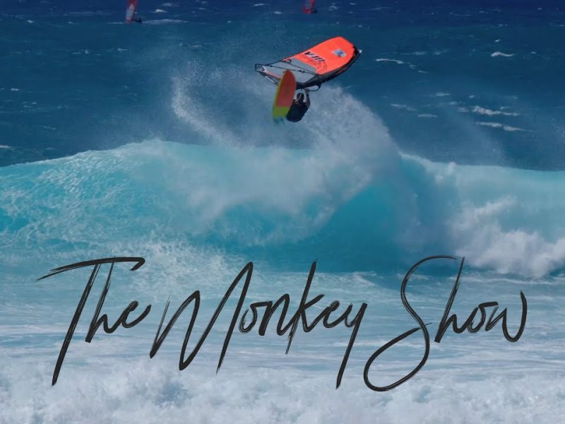 THE MONKEY SHOW IN MAUI: RICARDO CAMPELLO