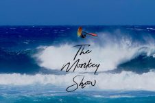 THE MONKEY SHOW IS BACK: RICARDO CAMPELLO