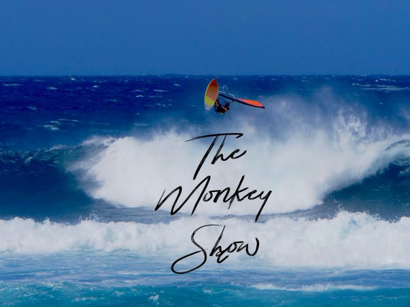 THE MONKEY SHOW IS BACK: RICARDO CAMPELLO