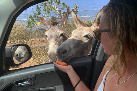 Checking out the donket sanctuary