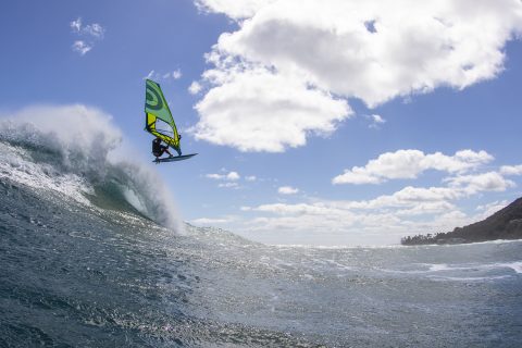 Swift flying through an air