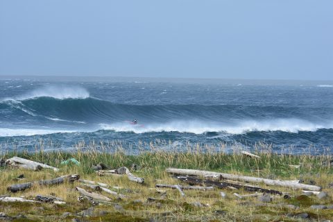 Perfect waves in Iceland!