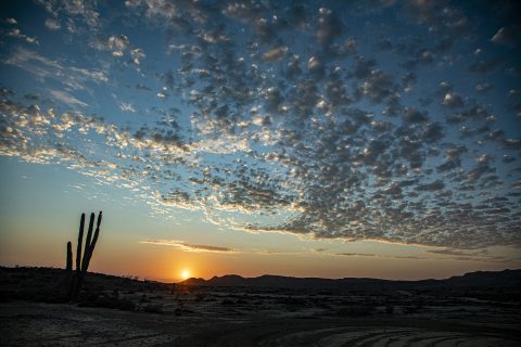 The beauty of the desert