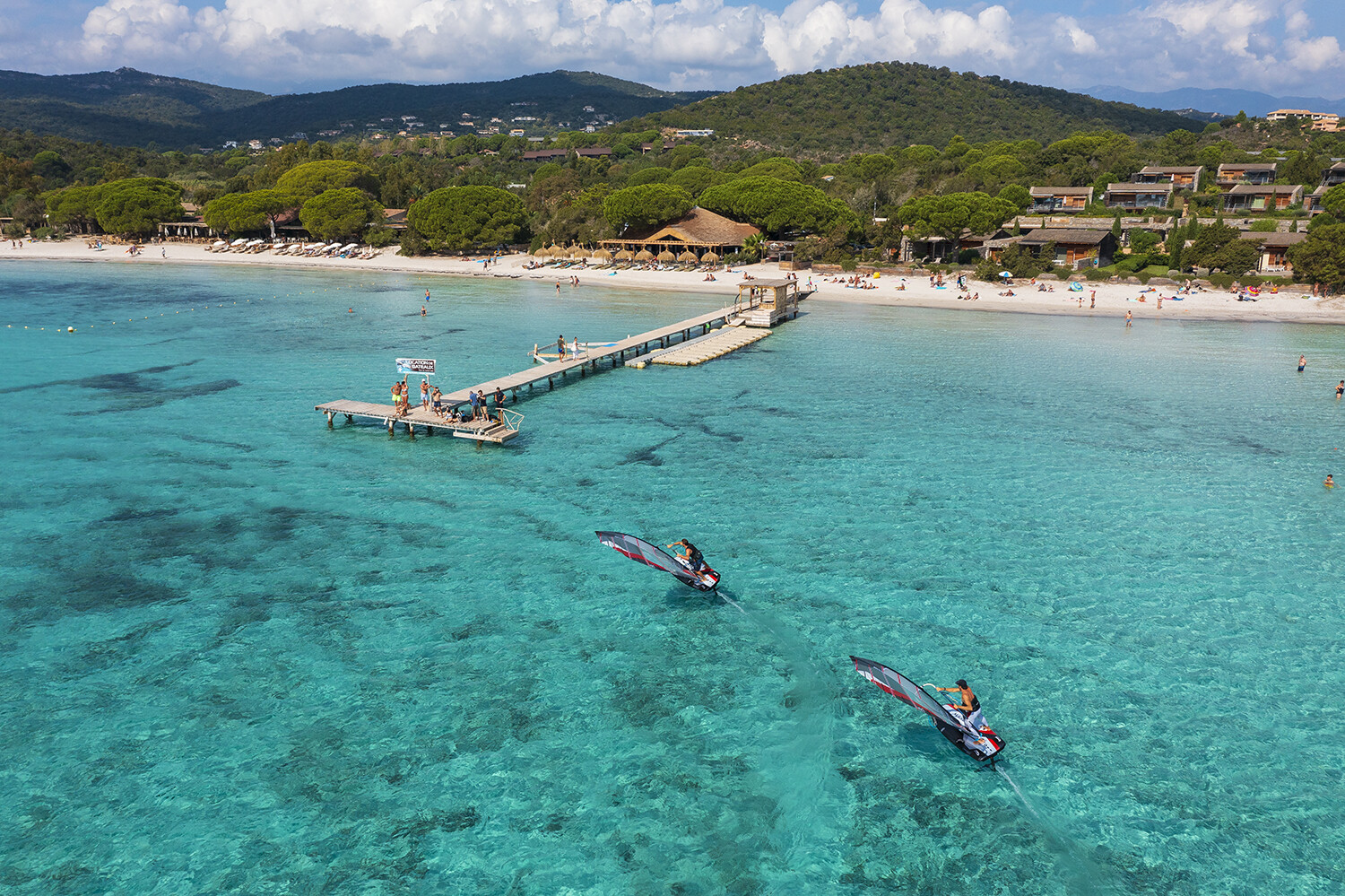 WINDSURF 2022 intelligence overview