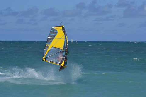 Toby in Maui