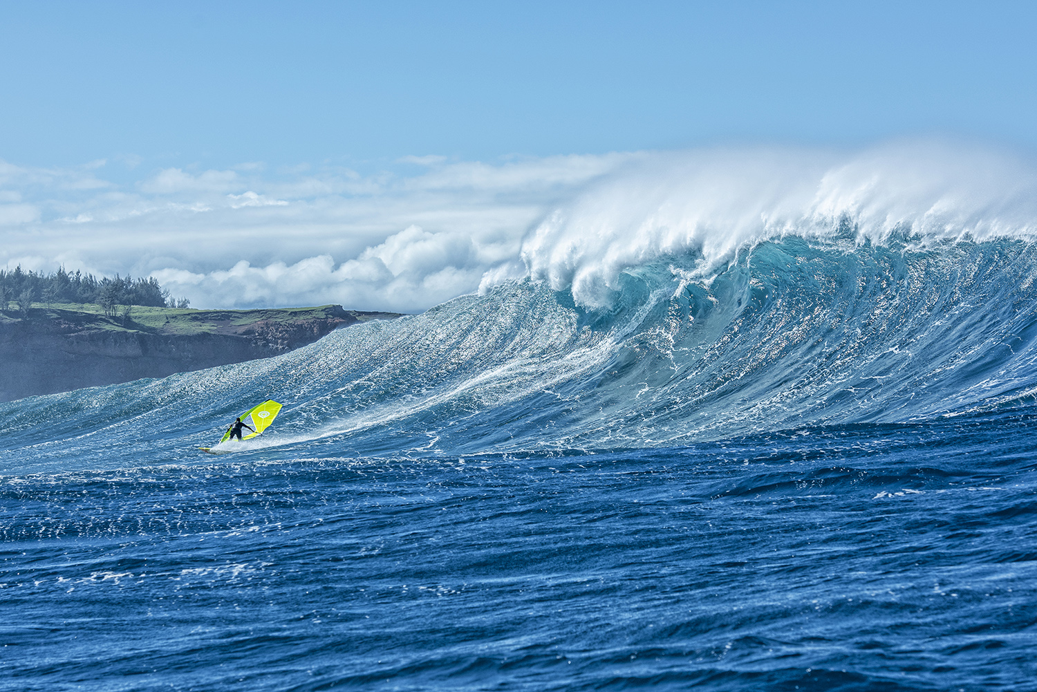 Marcilio Browne Jaws: Fish Bowl Diaries