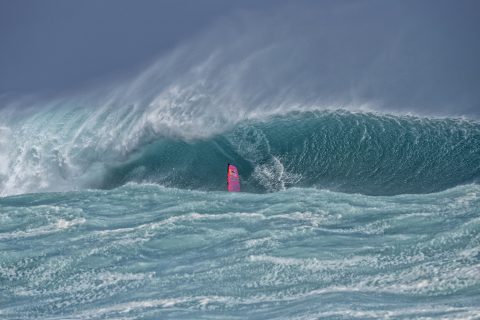 Robby In the Pit: Photo: Fish Bowl Diaries