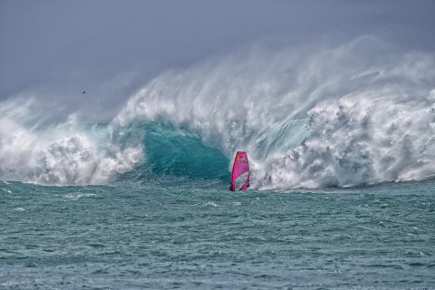 La Perouse wakes up Photo: Fish Bowl Diaries