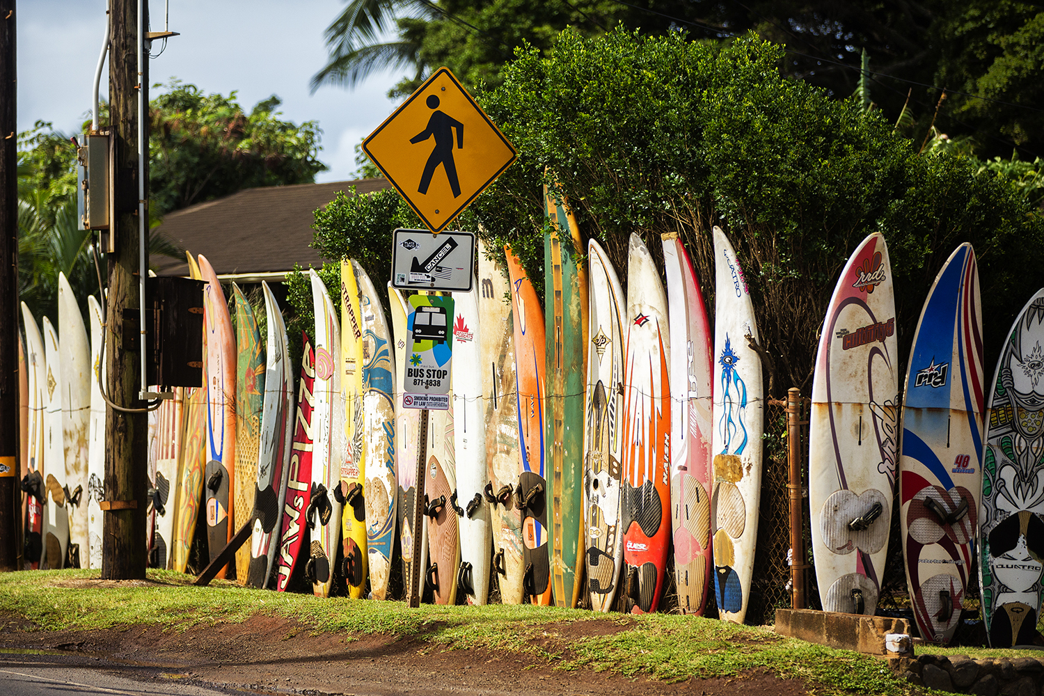 Board fence