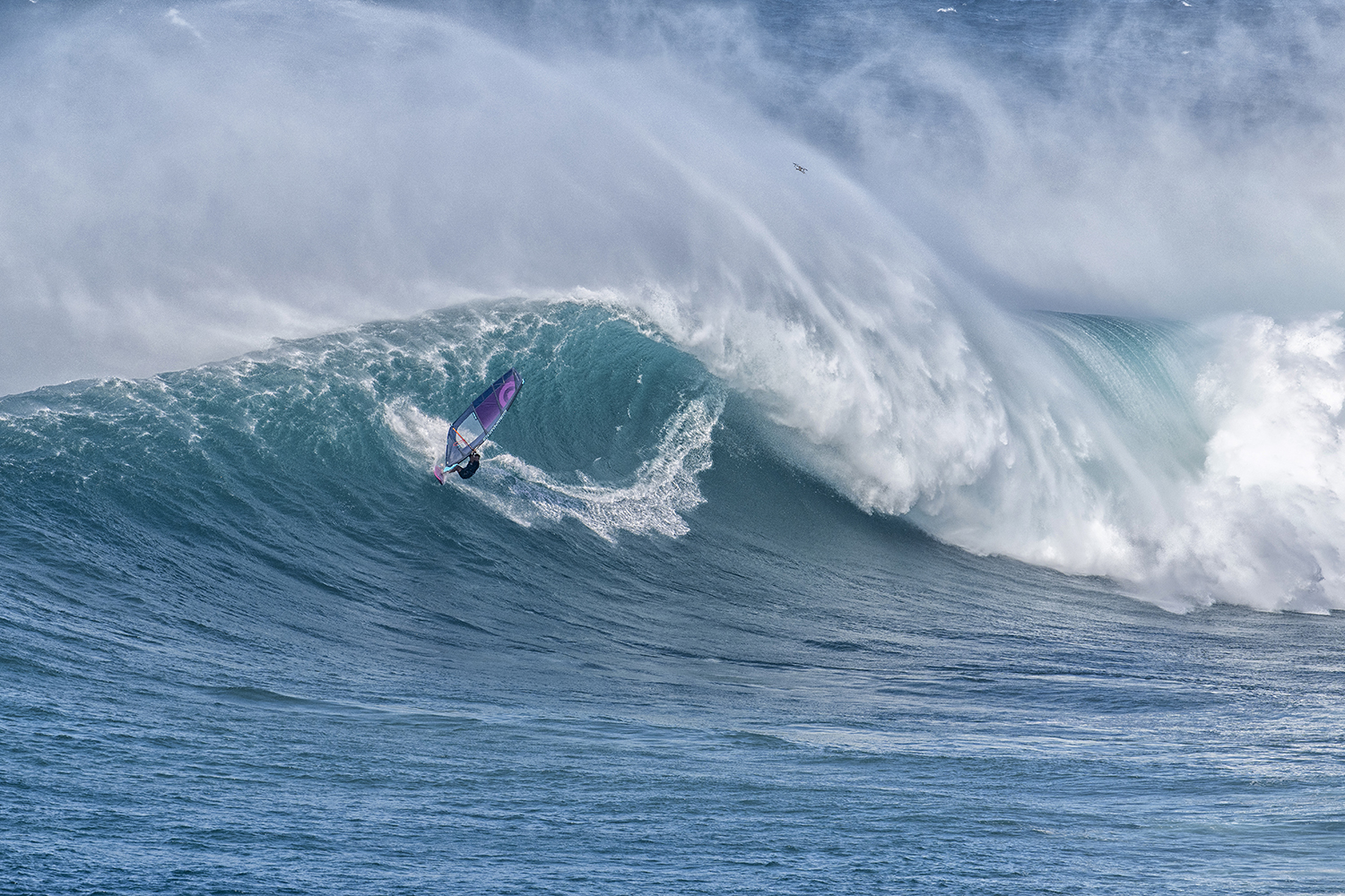 Robby Swift cutback