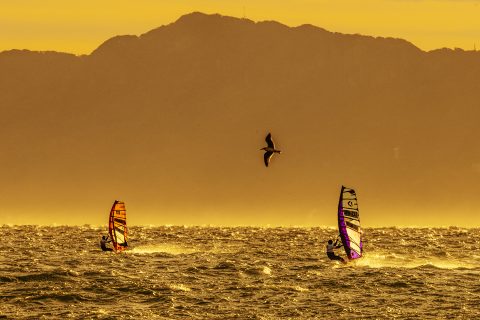 Windy Japan