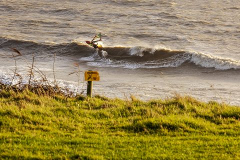 Ross Williams