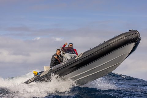 Boat carnage