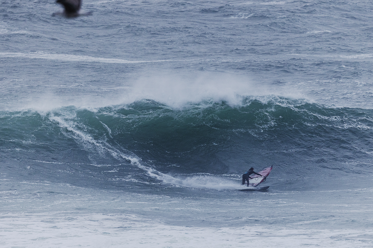 Timo Mullen drops in