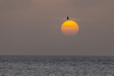 Aruba sunset