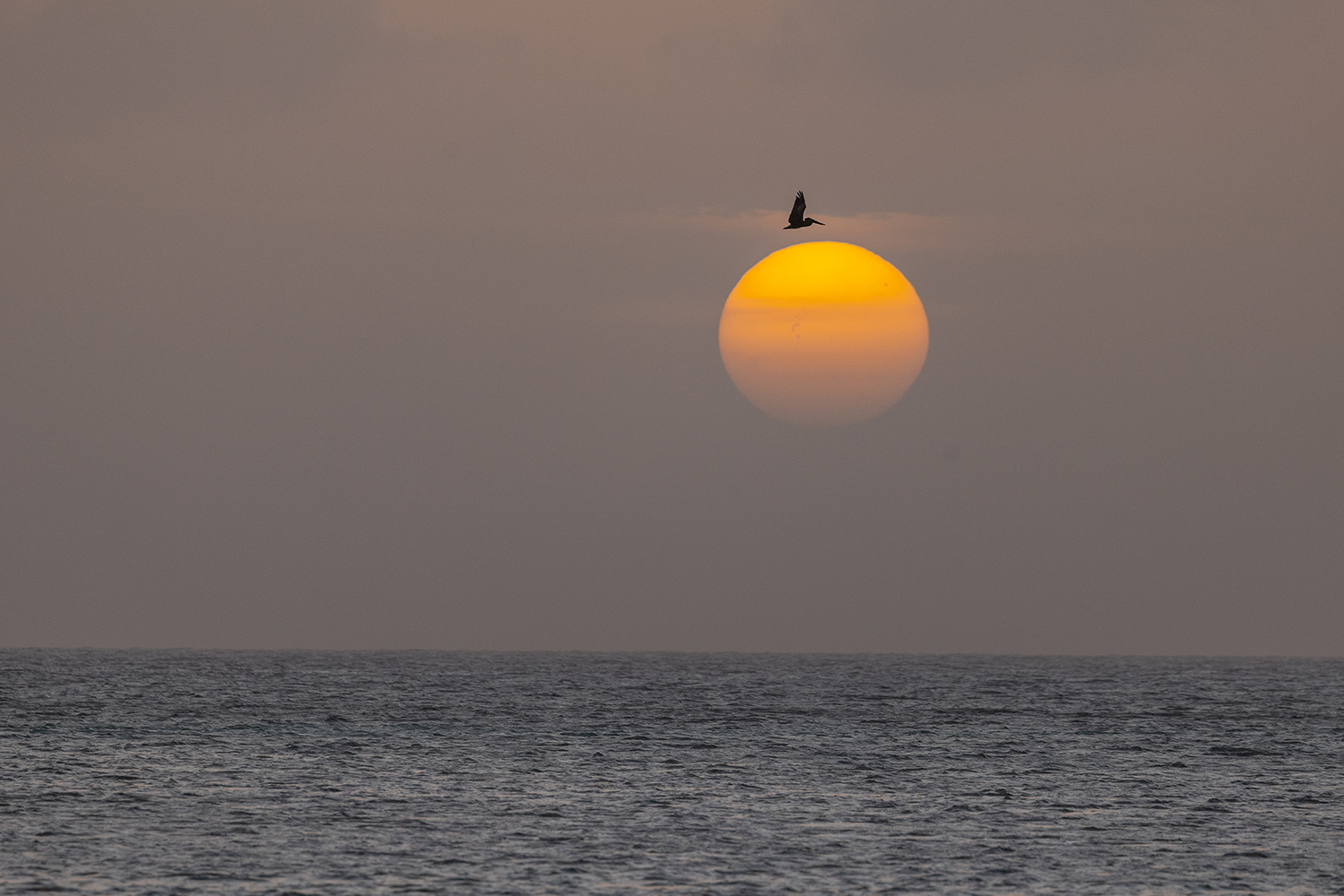 Aruba sunset