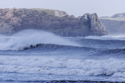 Gower
