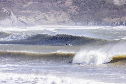 Gower Strom Noa